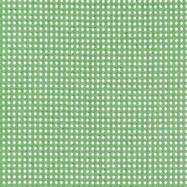 Paper Rattan Kelly Green T10390 by Thibaut Wallpaper Thibaut Wallpaper Paper Rattan Kelly Green T10390Wallpaper GRASSCLOTH RESOURCE 7 Paper on Non Woven KOREA, REPUBLIC OF </p><p>Repeat: H: , V: 36 - Fabric Carolina -
