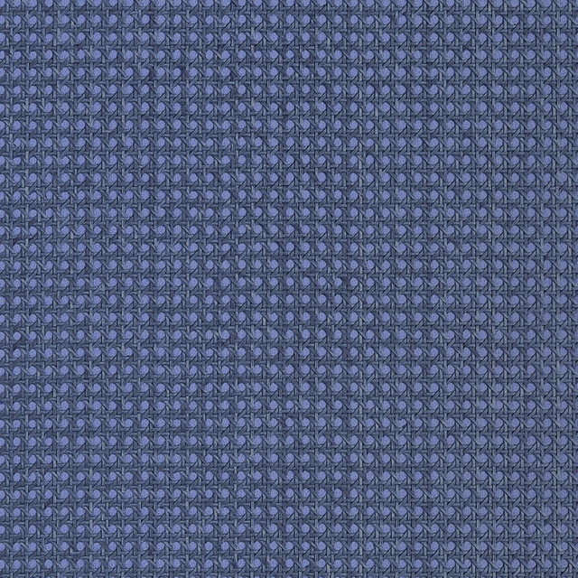 Paper Rattan Navy T10395 by Thibaut Wallpaper Thibaut Wallpaper Paper Rattan Navy T10395Wallpaper GRASSCLOTH RESOURCE 7 Paper on Non Woven KOREA, REPUBLIC OF </p><p>Repeat: H: , V: 36 - Fabric Carolina -