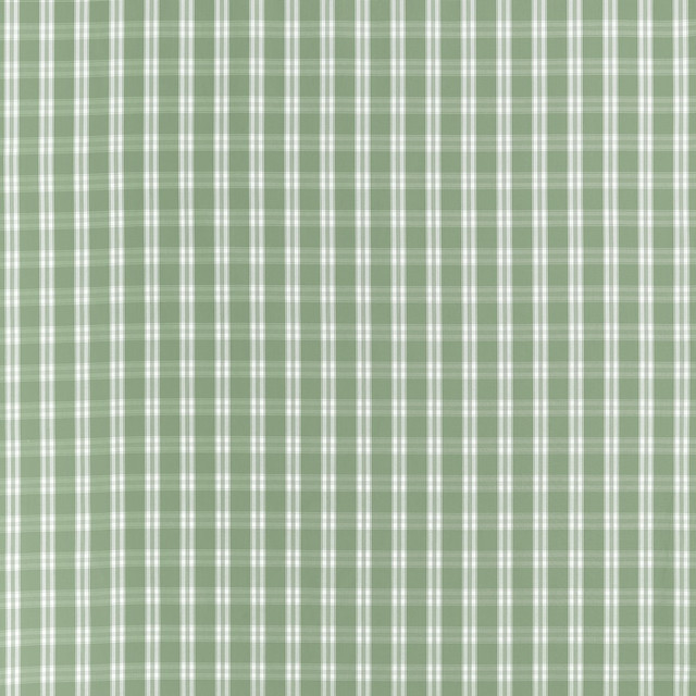 Payton Check Green by Anna French Fabric Anna French Fabric Payton Check GreenFabric CLERMONT FABRIC BOOK 100% Cotton INDIA </p><p>Repeat: H: 2.87, V: 2.75 53  - Fabric Carolina -
