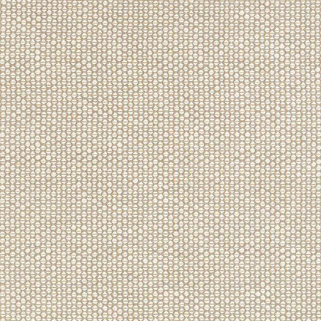 Endicott Linen W711305 by Thibaut Designer Fabric2 YardsFabric</p><p>Unit: Per Yard</p><p>Leadtime:</p><p>Book: SAVILE</p><p>Content: 54% Viscose, 20% Cotton, 18% Linen, 8% Polyester</p><p>Origin: ITALY</p><p>Performance: 15,000+</p><p>Repeat: H: 6.88</p> - Fabric Carolina - - My Fabric Connection - - Swanky Fabrics -