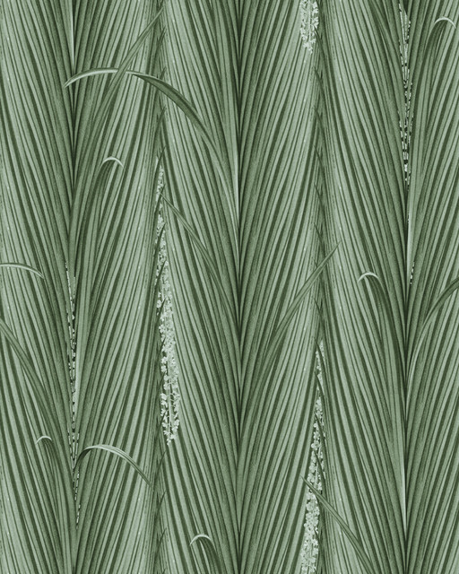 DANUBE FOLIAGE Absinthe Wallpaper (WP30216) by Mind The Gap | WP30216 | THE WETLANDS | 1 roll x 52 x 1000 cm / 20.5x393.7 in | 0.52m / 20.5in | 10m / 393.7in | 5.20sqm / 55.9sq ft | 60cm / 23.6in | White, Green | Non-woven Satin | Paste the wall | 1 roll in a box | Fabric Carolina | https://www.fabriccarolina.com/