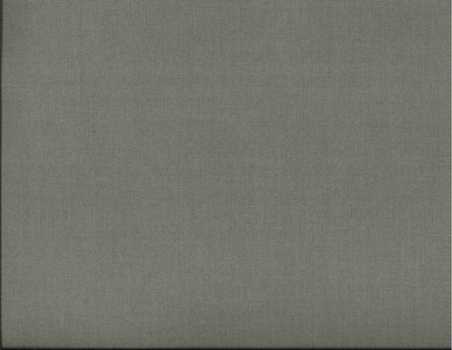 Corona Dove 914 by Norbar Fabric 100% POLYESTER TAIWAN 54" - Fabric Carolina -