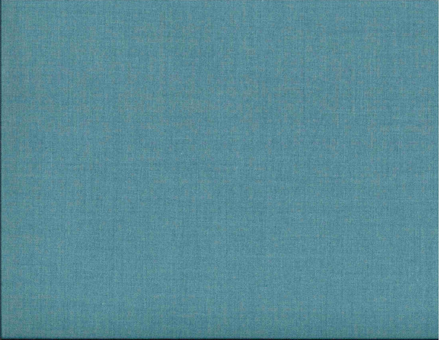 Corona Rain 477 by Norbar Fabric 100% POLYESTER TAIWAN 54" - Fabric Carolina -