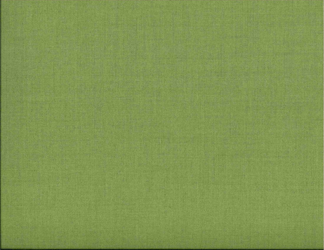 Corona Sprout 312 by Norbar Fabric 100% POLYESTER TAIWAN 54" - Fabric Carolina -