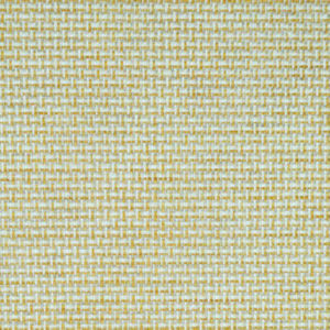 Dumont Chamomile by Norbar Fabric 100% POLYESTER INDIA 54" - Fabric Carolina -