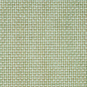 Dumont Green Tea by Norbar Fabric 100% POLYESTER INDIA 54" - Fabric Carolina -