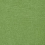 Kolar Sprout 312 by Norbar Fabric 100% COTTON ITALY 54 - Fabric Carolina -