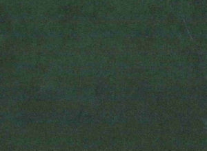Puma Jungle 338 by Norbar Fabric 100% POLYESTER CHINA 55 - Fabric Carolina -