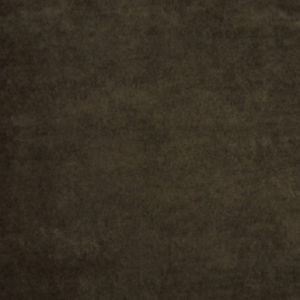 Puma Tiramisu 836 by Norbar Fabric 100% POLYESTER CHINA 55 - Fabric Carolina -