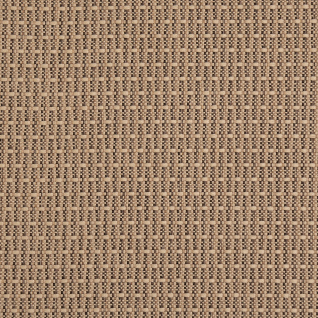Value Classics Biscotti D5000 by Charlotte Fabrics Fabric Charlotte Fabrics Fabric Value Classics 100% Olefin USA No Repeat 54"  - Fabric Carolina -