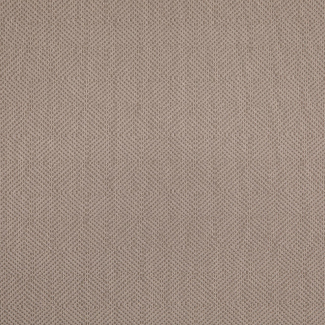 Value Modern Dove D5024 by Charlotte Fabrics Fabric Charlotte Fabrics Fabric Value Modern 100% Polypropylene USA Horizontal 2.75" x Vertical 2.5" 54"  - Fabric Carolina -