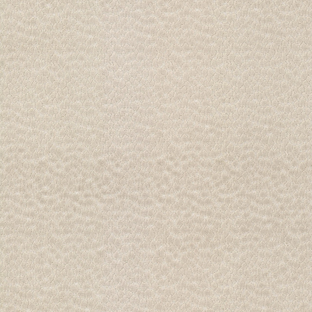 Never 2 Parchment by Stout Fabric