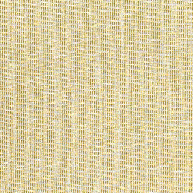 Hubbub 3 Maize by Marcus William Fabric