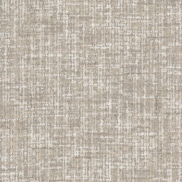 Belston 3 Dove by Stout Fabric
