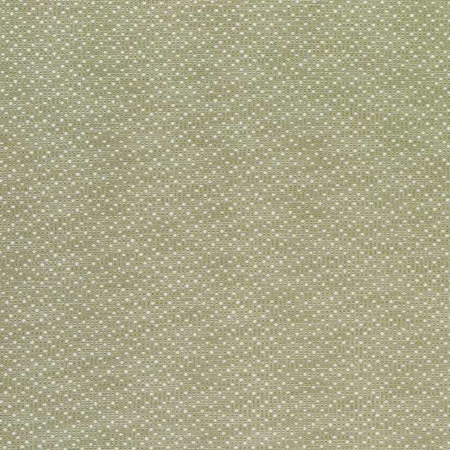 Groupie 1 Pistachio by Marcus William Fabric