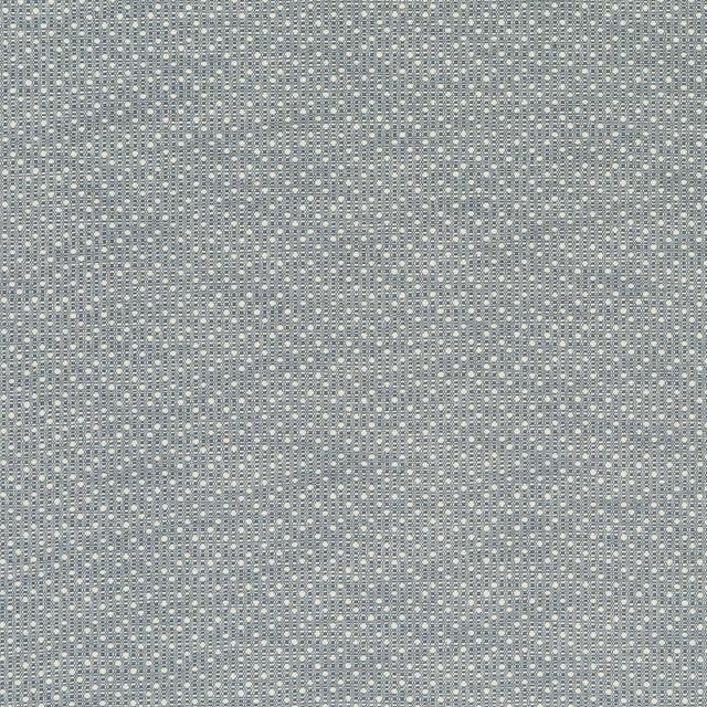 Groupie 4 Slate by Marcus William Fabric