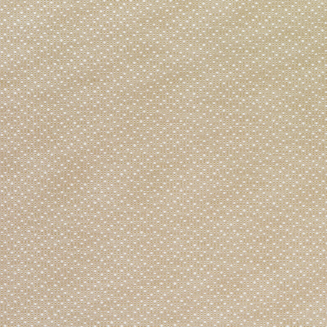 Groupie 9 Desert by Marcus William Fabric