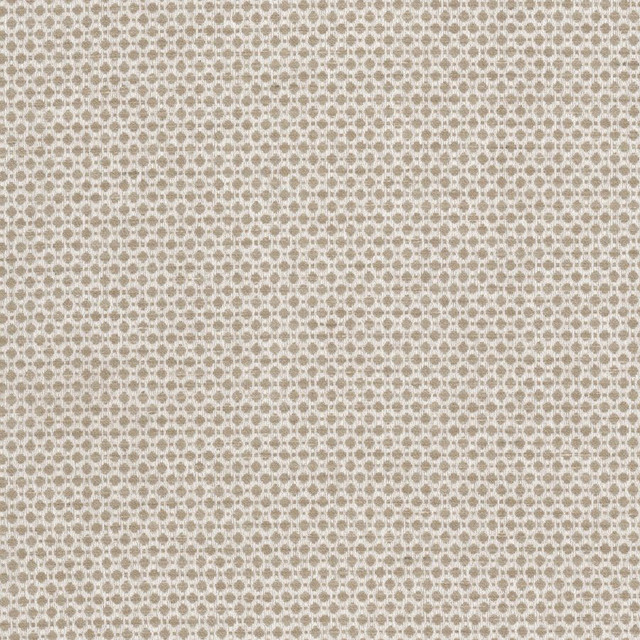 Abloom 4 Toast by Stout Fabric