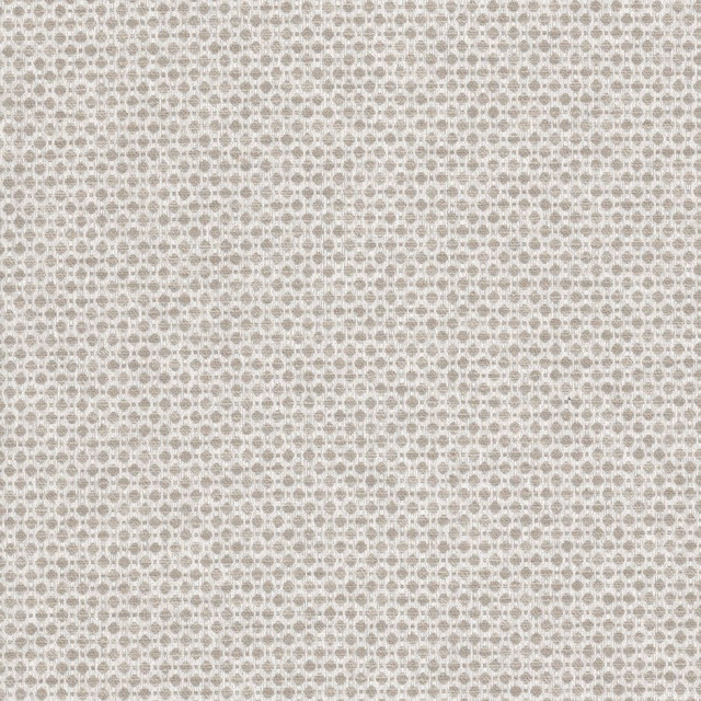Abloom 5 Taupe by Stout Fabric