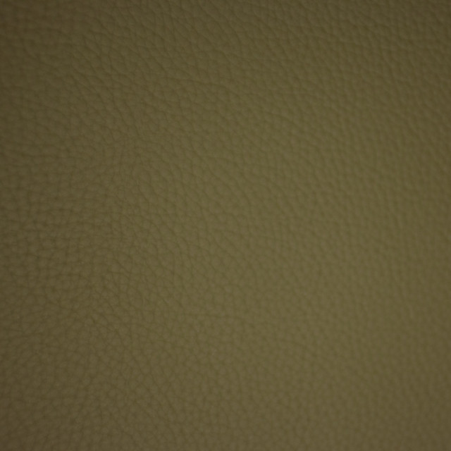 F6668 Aloe by Greenhouse Fabric