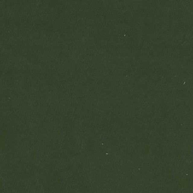 F3828 Juniper by Greenhouse Fabric