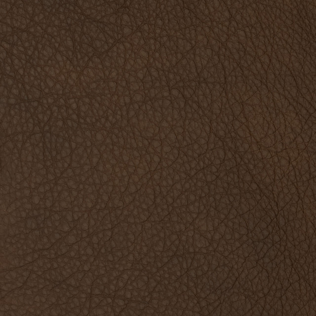 F2090 Syrup by Greenhouse Fabric