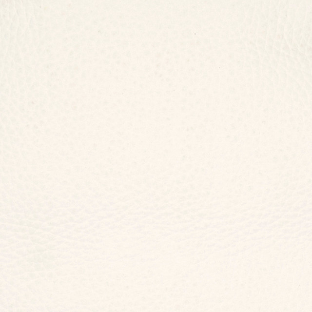 B8725 Optical White by Greenhouse Fabric