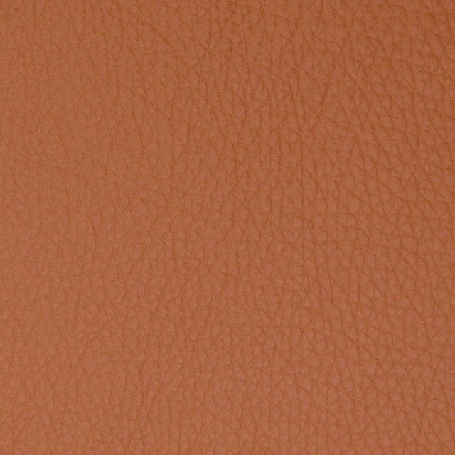 B5096 Brandy by Greenhouse Fabric