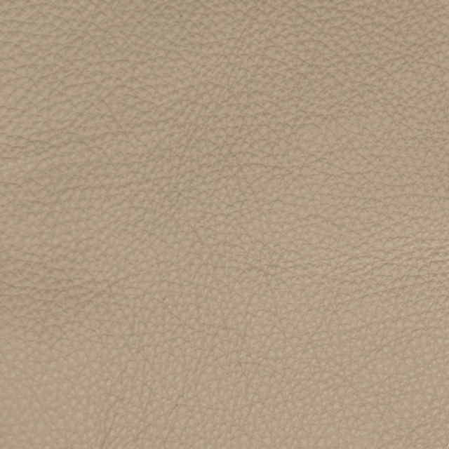 B5127 Grey Taupe by Greenhouse Fabric