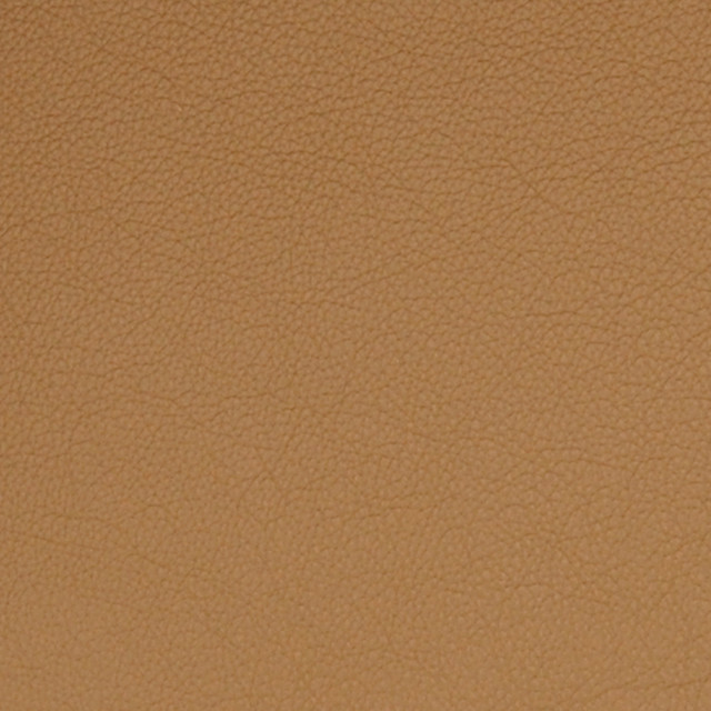 75455 Latte by Greenhouse Fabric