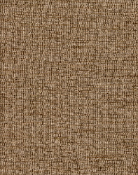 Thai Silk Bronze by Heritage Fabric - 100% Polyester - India - 54" - Fabric Carolina -