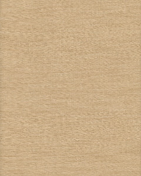 Thai Silk Cornsilk by Heritage Fabric - 100% Polyester - India - 54" - Fabric Carolina -
