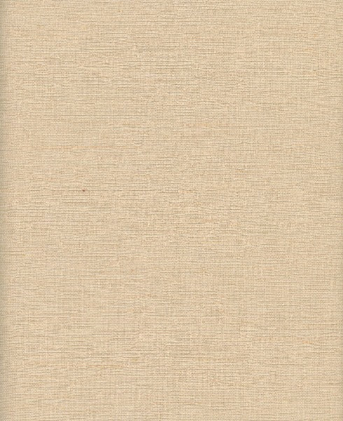 Thai Silk Cashmere by Heritage Fabric - 100% Polyester - India - 54" - Fabric Carolina -