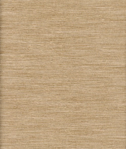 Thai Silk Nougat by Heritage Fabric - 100% Polyester - India - 54" - Fabric Carolina -