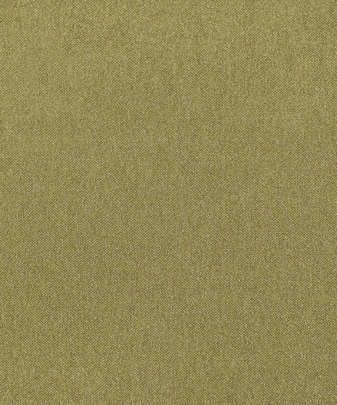 Genesis 12104 by Barrow Fabric 26C02 100% POLYESTER China 33,000 DOUBLE RUBS Repeat: Horizontal: 0" and Vertical: 0" 56" - Fabric Carolina -