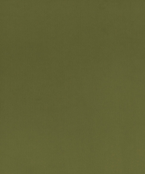 Santiago 42104 by Barrow Fabric 25CL04 100% POLYESTER CHINA 63,000 DOUBLE RUBS Repeat: Horizontal: 0" and Vertical: 0" 57" - Fabric Carolina -