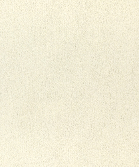 Selma 11001 by Barrow Fabric 25CL05 100% POLYESTER CHINA 15,000 DOUBLE RUBS Repeat: Horizontal: 0" and Vertical: 0" 56" - Fabric Carolina -