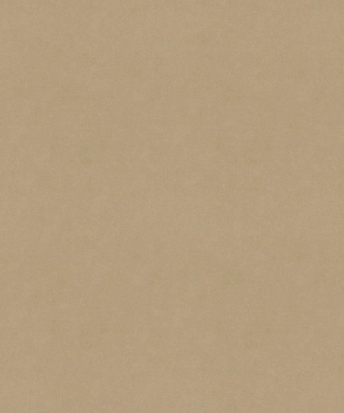 Serenity 11109 by Barrow Fabric 26C01 100% POLYESTER KNIT PILE FABRIC China 60,000 DOUBLE RUBS Repeat: Horizontal: 0" and Vertical: 0" 57" - Fabric Carolina -