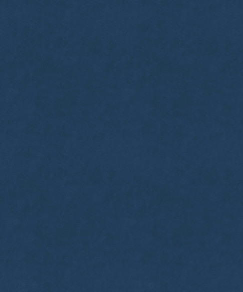 Serenity 11908 by Barrow Fabric 26C01 100% POLYESTER KNIT PILE FABRIC China 60,000 DOUBLE RUBS Repeat: Horizontal: 0" and Vertical: 0" 57" - Fabric Carolina -