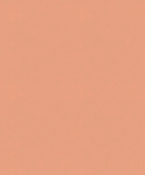 Serenity 11703 by Barrow Fabric 26C01 100% POLYESTER KNIT PILE FABRIC China 60,000 DOUBLE RUBS Repeat: Horizontal: 0" and Vertical: 0" 57" - Fabric Carolina -