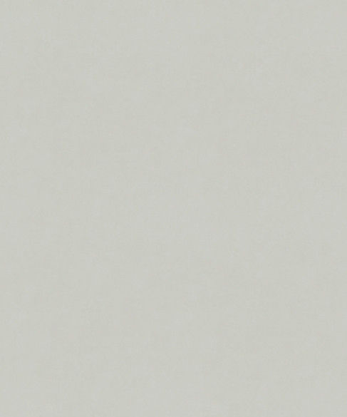 Serenity 12303 by Barrow Fabric 26C01 100% POLYESTER KNIT PILE FABRIC China 60,000 DOUBLE RUBS Repeat: Horizontal: 0" and Vertical: 0" 57" - Fabric Carolina -
