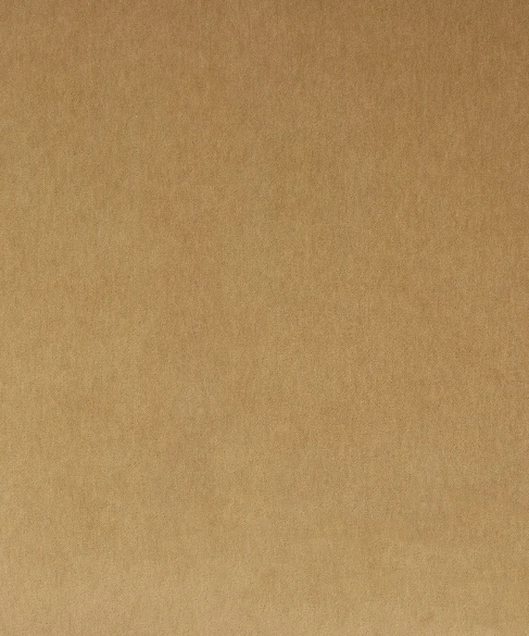 Aurora 1 Fawn by Barrow Industries Fabric AB252 Aurora 82% POLYESTER, 18% COTTON China 75,000 DOUBLE RUBS Repeat: Horizontal: 0" and Vertical: 0" 56" - Fabric Carolina -