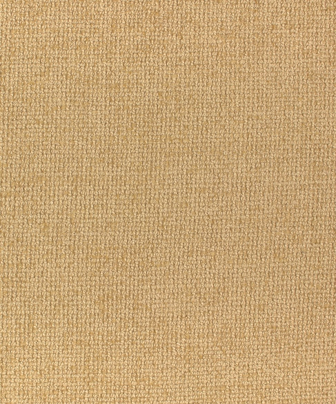 Luminosity 1 Honey by Barrow Industries Fabric AB251 Supernova 96% POLYESTER, 4% LINEN China 36,000 DOUBLE RUBS Repeat: Horizontal: 0" and Vertical: 0" 56" - Fabric Carolina -