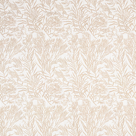 Aquatic Life Natural 1401211001 by Carole Exclusive Designer Natural Harmony 97% POLYESTER, 3% LINEN PAKISTAN 50,000 Wyzenbeek Double Rubs 13 1/2" V , 9" H 56" Carole Fabrics Fabric - Swanky Fabrics -