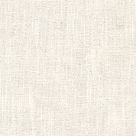 Fresh Start Alabaster by Carole Designer Fabric Everyday Basics 54% Polyester, 36% Viscose, 10% Linen China 75,000 Wyzenbeek Double Rubs 54" Carole Fabrics Fabric - Swanky Fabrics -