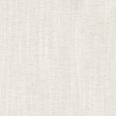 Fresh Start Bone by Carole Designer Fabric Everyday Basics 54% Polyester, 36% Viscose, 10% Linen China 75,000 Wyzenbeek Double Rubs 54" Carole Fabrics Fabric - Swanky Fabrics -
