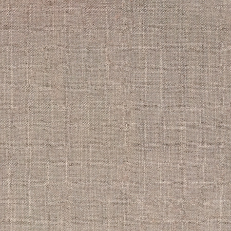 Fresh Start Brown by Carole Designer Fabric Everyday Basics 54% Polyester, 36% Viscose, 10% Linen China 75,000 Wyzenbeek Double Rubs 54" Carole Fabrics Fabric - Swanky Fabrics -