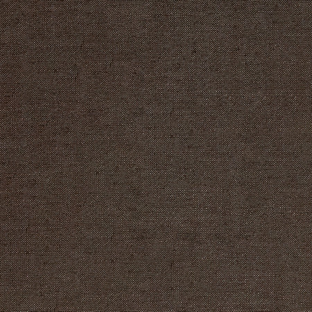 Fresh Start Java by Carole Designer Fabric Everyday Basics 54% Polyester, 36% Viscose, 10% Linen China 75,000 Wyzenbeek Double Rubs 54" Carole Fabrics Fabric - Swanky Fabrics -