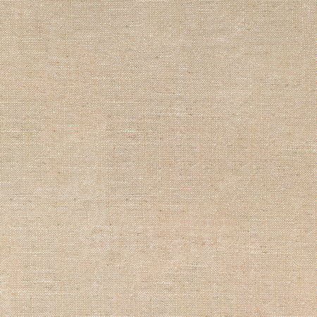 Fresh Start Warm Beige by Carole Designer Fabric Everyday Basics 54% Polyester, 36% Viscose, 10% Linen China 75,000 Wyzenbeek Double Rubs 54" Carole Fabrics Fabric - Swanky Fabrics -