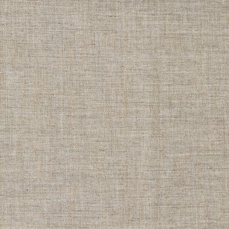 Live Well Twine 4049011001 by Carole Exclusive Everyday Basics 100% Polyester India None 54" Carole Fabrics Fabric - Fabric Carolina -